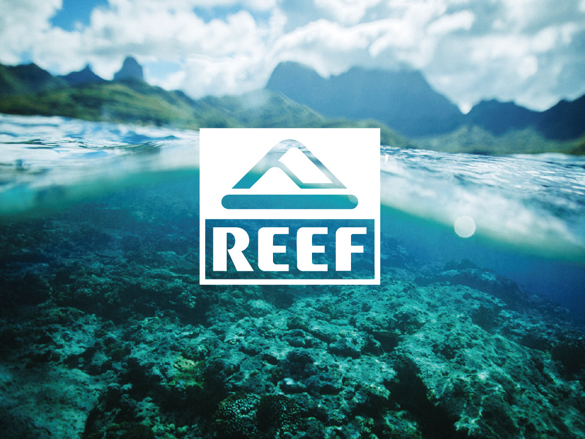 REEF