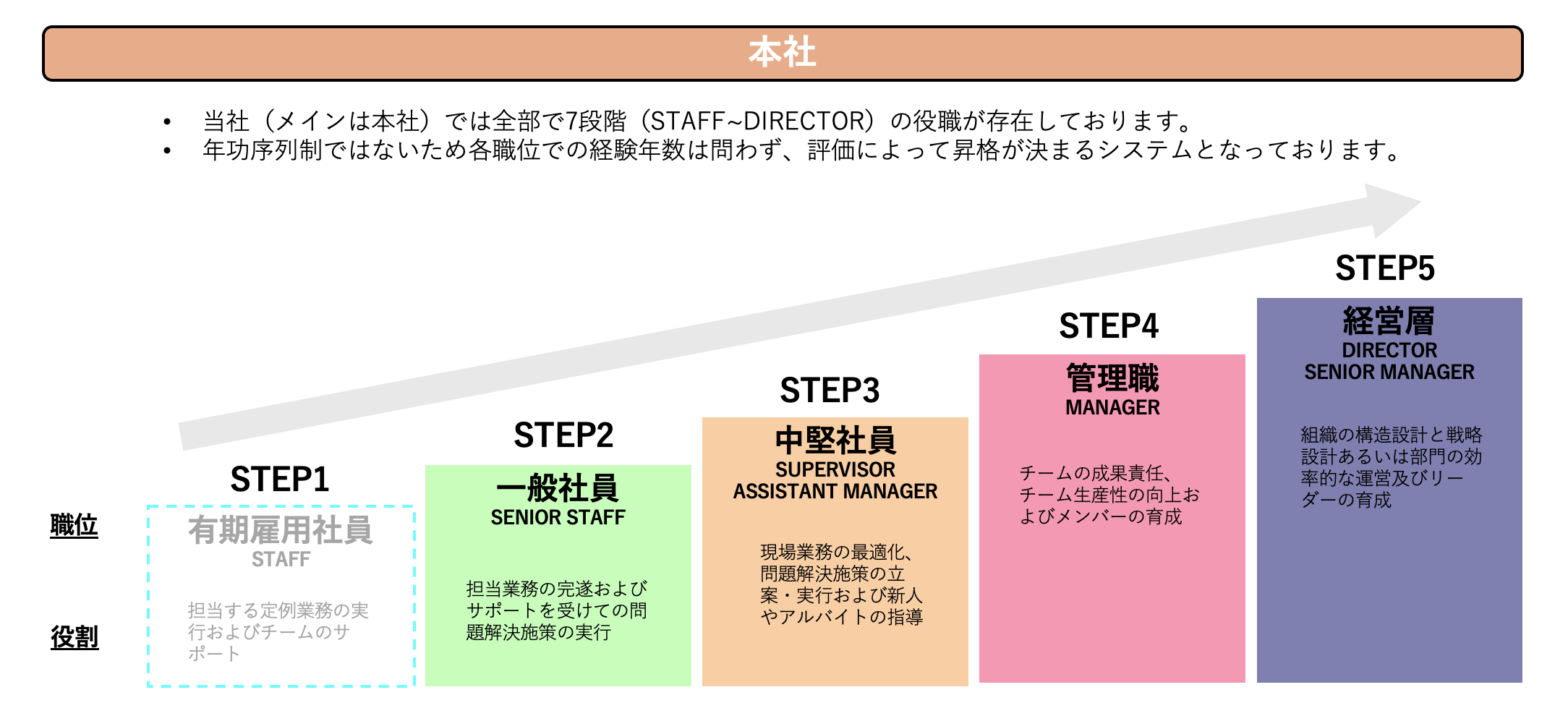 本社のキャリアパス図（STEP1〜STEP5）